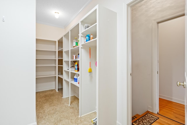 view of pantry