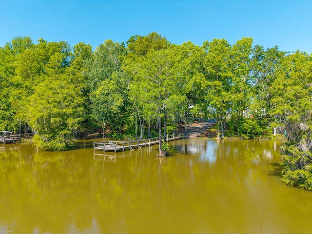 water view featuring a boat dock