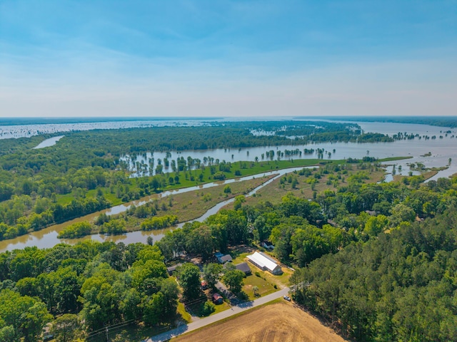 bird's eye view featuring a water view and a forest view