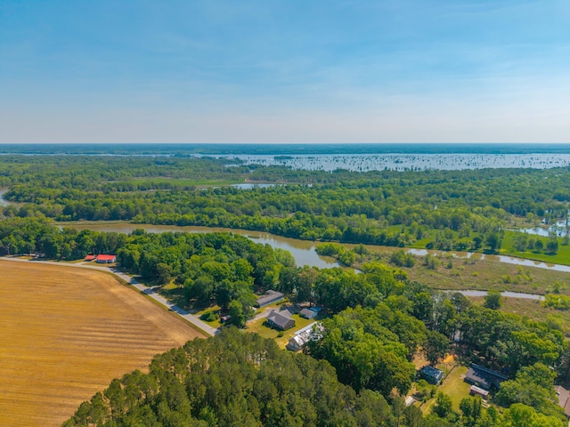 aerial view with a view of trees and a water view