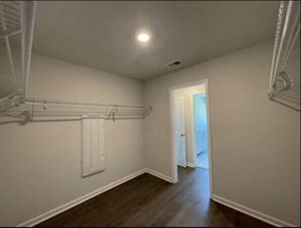 spacious closet with dark hardwood / wood-style flooring