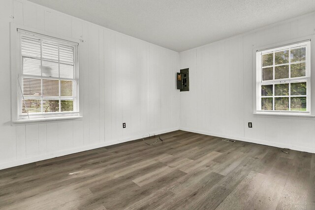 spare room featuring plenty of natural light, dark wood-type flooring, electric panel, and a textured ceiling