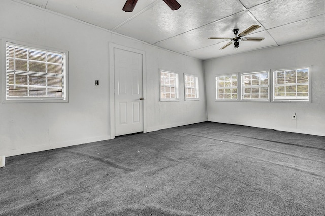 carpeted spare room with ceiling fan and a wealth of natural light