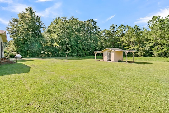 view of yard featuring a storage unit