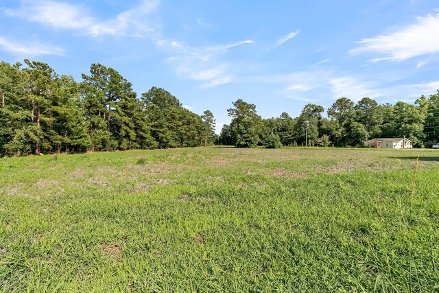 view of local wilderness with a rural view