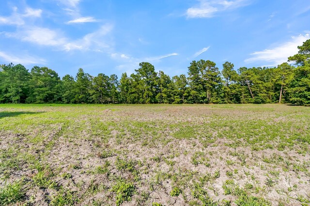 view of yard featuring a rural view