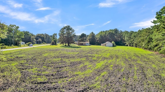 view of yard featuring a storage shed