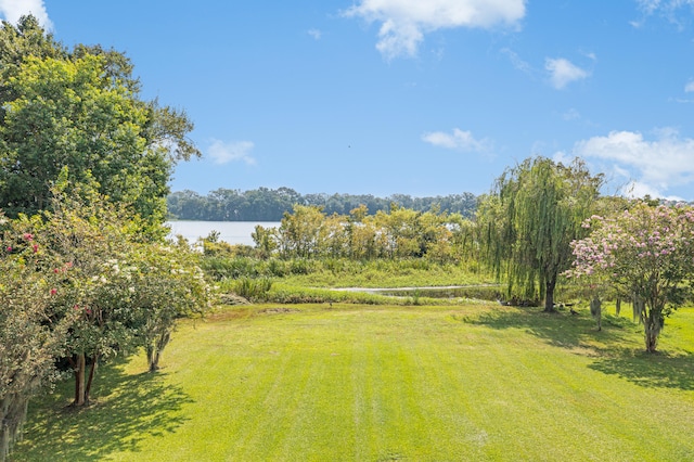 view of yard with a water view