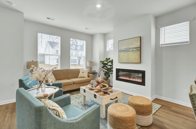 living room featuring hardwood / wood-style floors