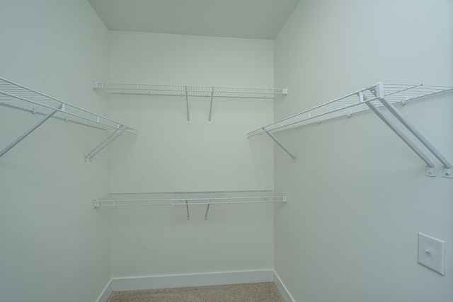 walk in closet with light colored carpet