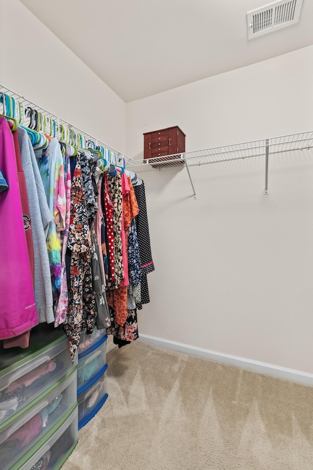 251 Coosawatchie St, Summerville, SC 29485 - walk in closet with carpet floors