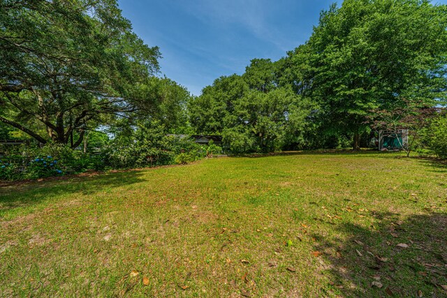 1918 Piper Dr, Charleston, SC 29407 - view of green lawn