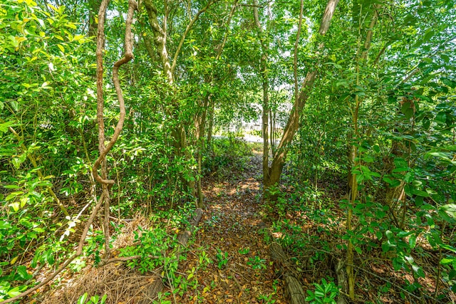 1918 Piper Dr, Charleston, SC 29407 - view of nature
