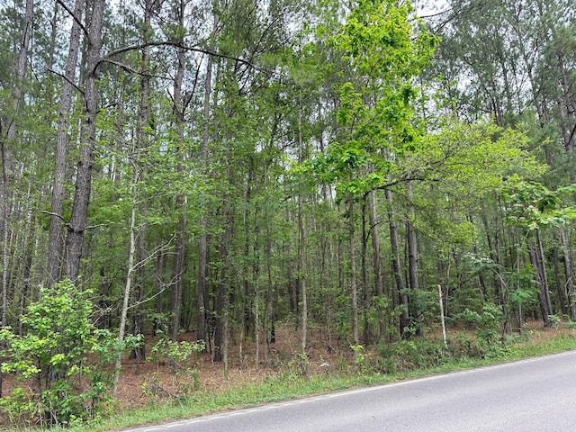 01 Mallard Rd, Summerville SC, 29483 land for sale