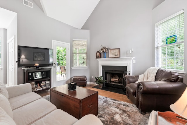 1431 Whispering Oak Trl, Mount Pleasant, SC 29466 - living area with wood finished floors, plenty of natural light, high vaulted ceiling, and a fireplace with flush hearth