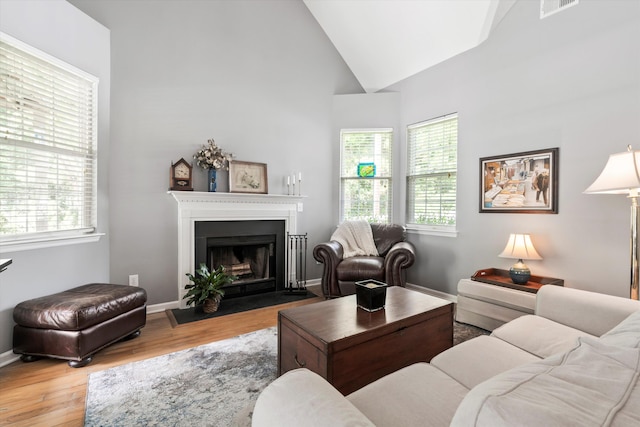 1431 Whispering Oak Trl, Mount Pleasant, SC 29466 - living area featuring plenty of natural light, wood finished floors, a fireplace with flush hearth, and high vaulted ceiling