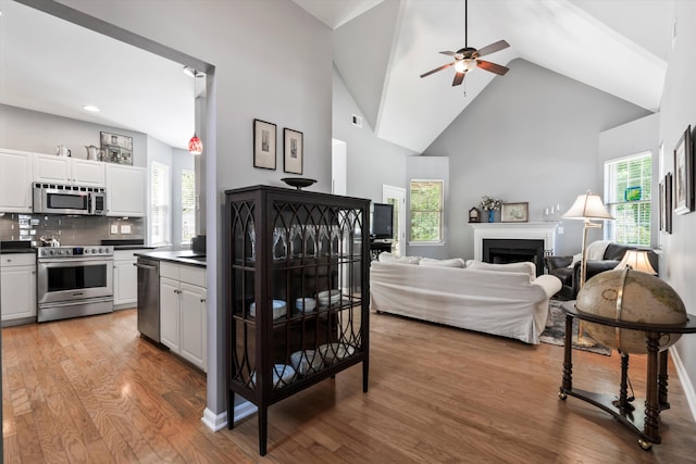 1431 Whispering Oak Trl, Mount Pleasant, SC 29466 - living room with wood finished floors, ceiling fan, healthy amount of natural light, a fireplace, and high vaulted ceiling