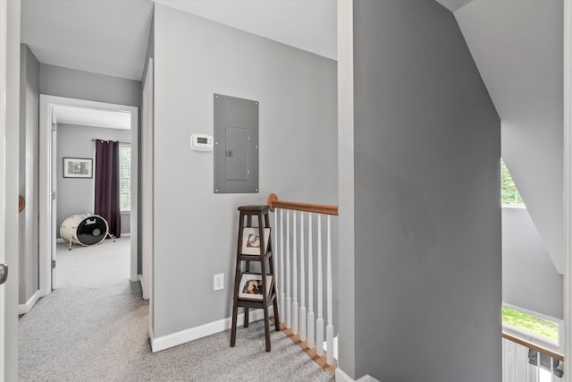 1431 Whispering Oak Trl, Mount Pleasant, SC 29466 - hallway featuring electric panel, healthy amount of natural light, an upstairs landing, and carpet