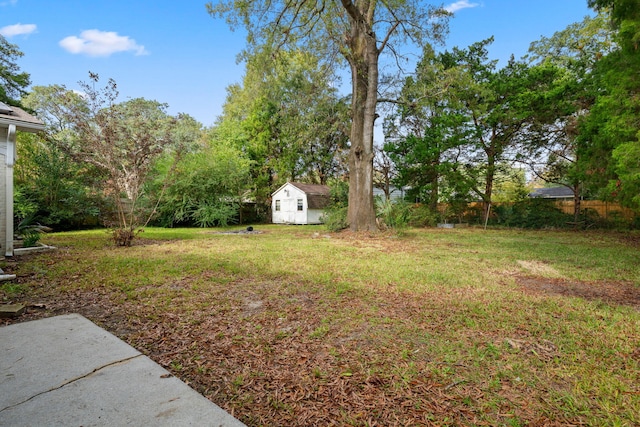 view of yard featuring a storage unit