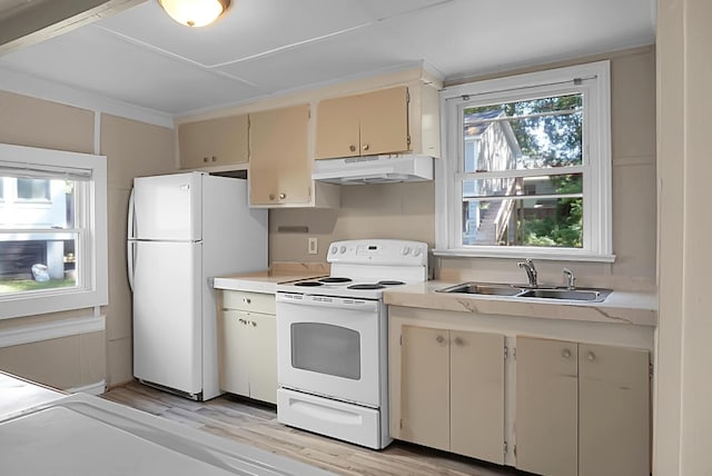 kitchen featuring cream cabinets, white appliances, light hardwood / wood-style floors, and sink