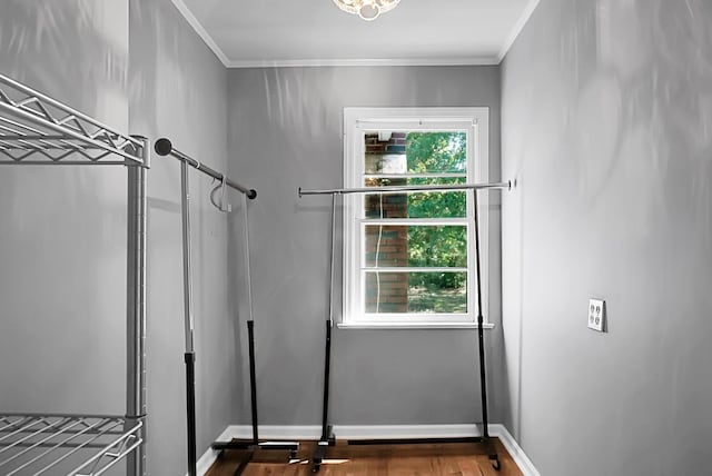 bathroom with crown molding, a wealth of natural light, and hardwood / wood-style flooring