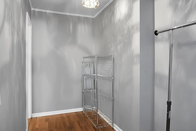 walk in closet featuring hardwood / wood-style floors