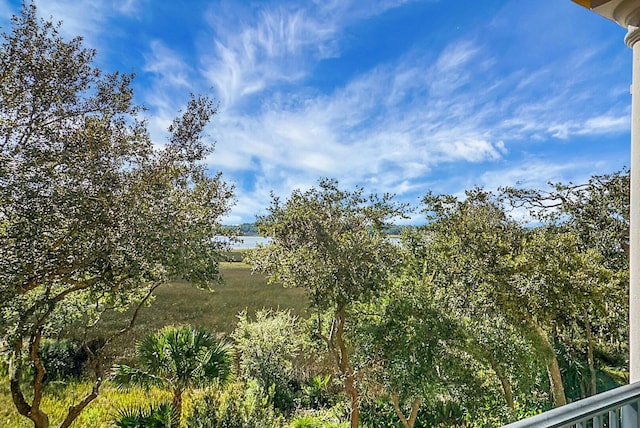 4252 Faber Place Dr Unit 203, North Charleston, SC 29405 - view of local wilderness with a large body of water