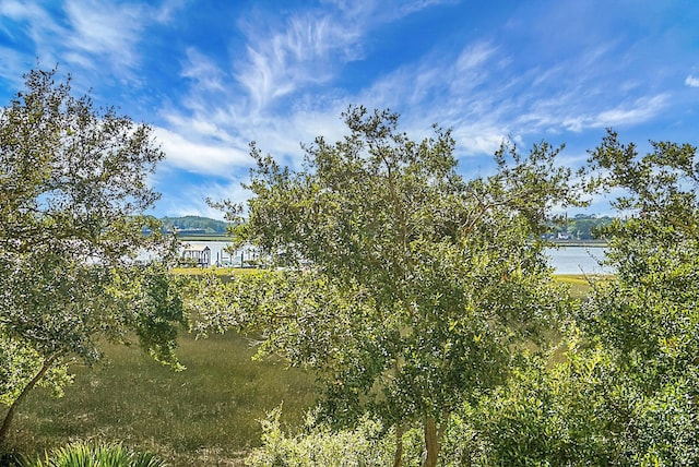 4252 Faber Place Dr Unit 203, North Charleston, SC 29405 - water view