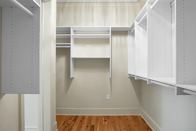 4252 Faber Place Dr Unit 203, North Charleston, SC 29405 - spacious closet with light wood finished floors
