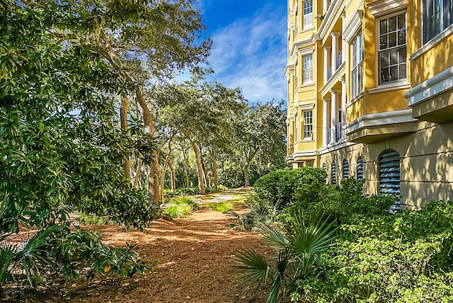 4252 Faber Place Dr Unit 203, North Charleston, SC 29405 - view of surrounding community