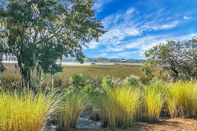 4252 Faber Place Dr Unit 203, North Charleston, SC 29405 - view of yard with a water view