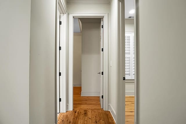 4252 Faber Place Dr Unit 203, North Charleston, SC 29405 - corridor with light wood-type flooring, ornamental molding, and baseboards