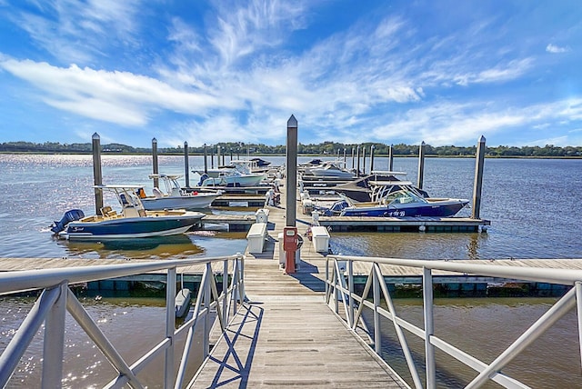 4252 Faber Place Dr Unit 203, North Charleston, SC 29405 - dock with a water view
