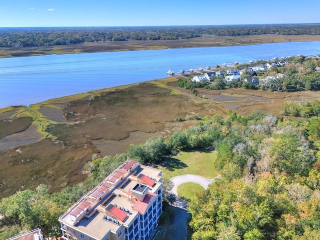 4252 Faber Place Dr Unit 203, North Charleston, SC 29405 - drone / aerial view of a nearby body of water