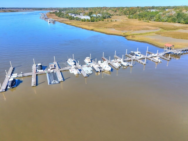 4252 Faber Place Dr Unit 203, North Charleston, SC 29405 - bird's eye view of a large body of water
