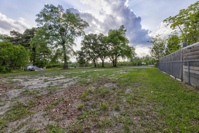 121 Harrison St, Varnville, SC 29944 - view of yard