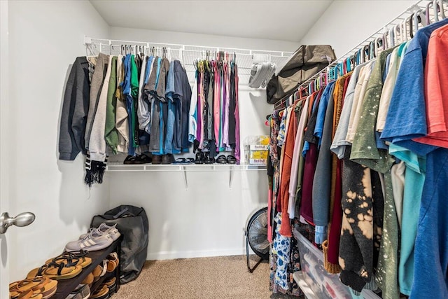 3055 Matthews Dr, Sumter, SC 29154 - spacious closet with carpet flooring