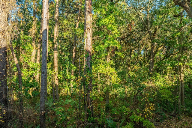 view of local wilderness