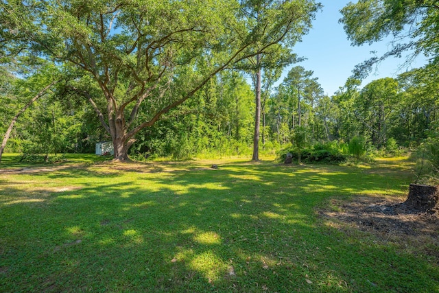 8453 Charleston Hwy, Walterboro, SC 29488