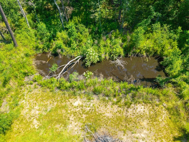 8453 Charleston Hwy, Walterboro, SC 29488
