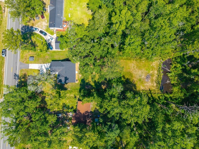 8453 Charleston Hwy, Walterboro, SC 29488