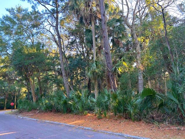 3137 Privateer Creek Rd, Seabrook Island SC, 29455 land for sale