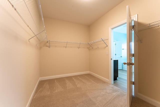 walk in closet featuring light carpet