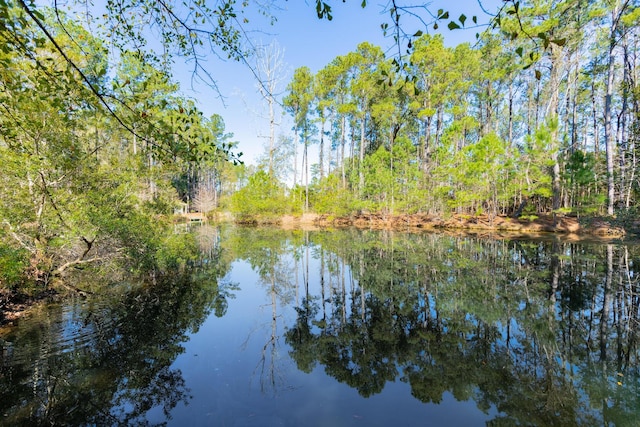 view of water feature