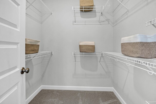 123 Brown Swiss Cir, Summerville, SC 29483 - walk in closet with carpet floors