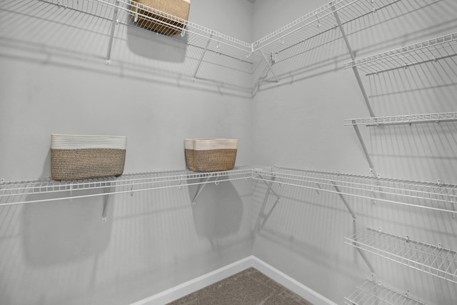 123 Brown Swiss Cir, Summerville, SC 29483 - view of spacious closet