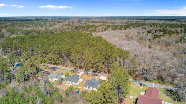 3473 Plow Ground Rd, Johns Island, SC 29455 - view of property location with a forest
