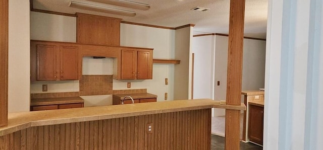 kitchen featuring sink, ornamental molding, and a textured ceiling