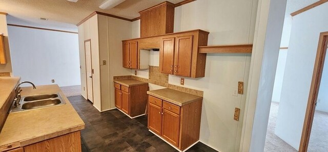 kitchen featuring sink, a textured ceiling, and ornamental molding