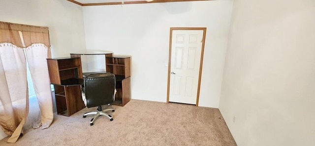 carpeted home office with crown molding